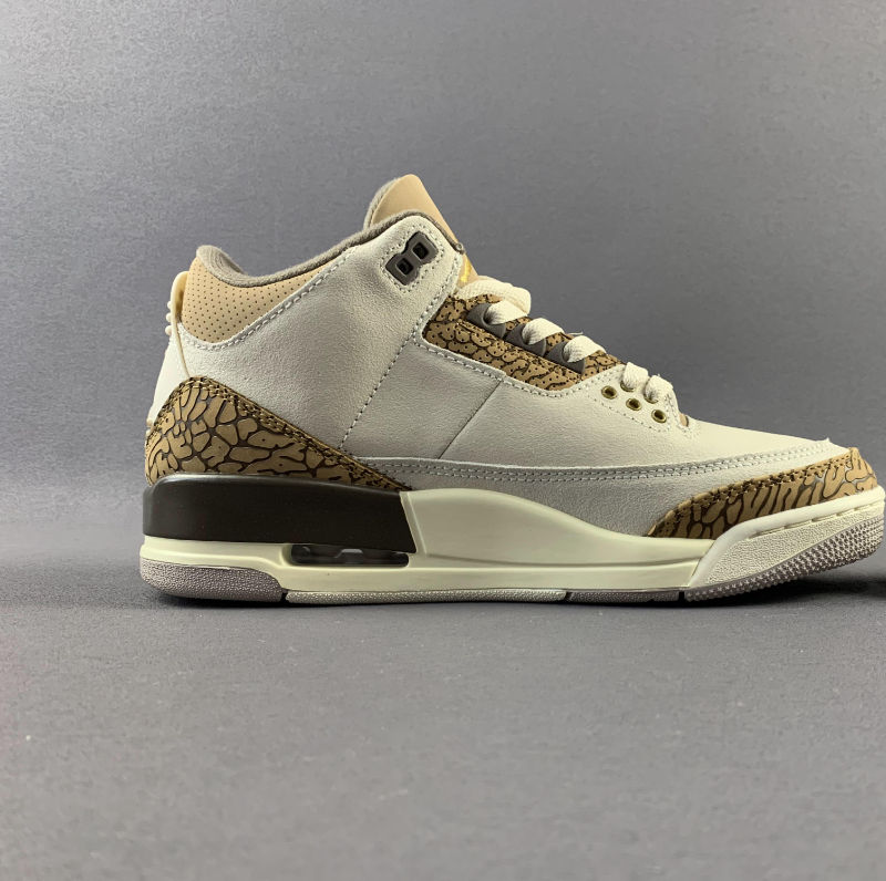 AIR JORDAN 3